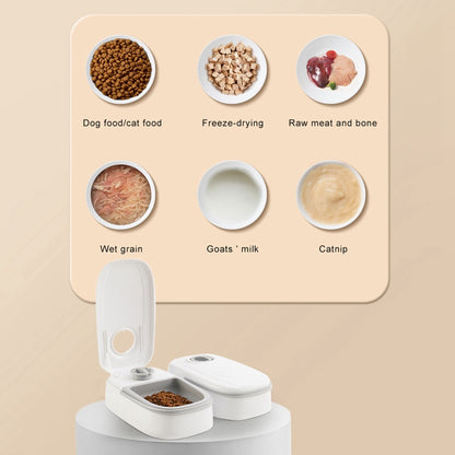 Automatic Pet Feeder With Timer