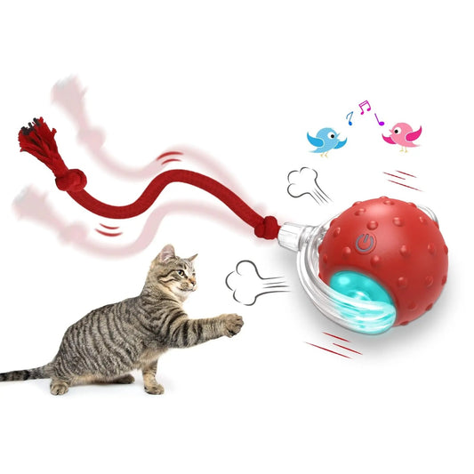 Light Up Auto Driving Ball With String